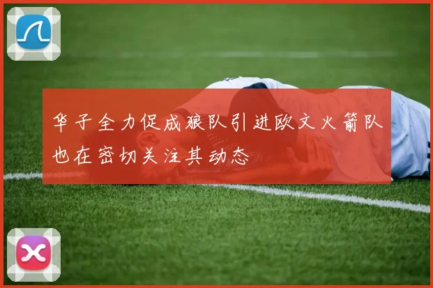 华子全力促成狼队引进欧文火箭队也在密切关注其动态